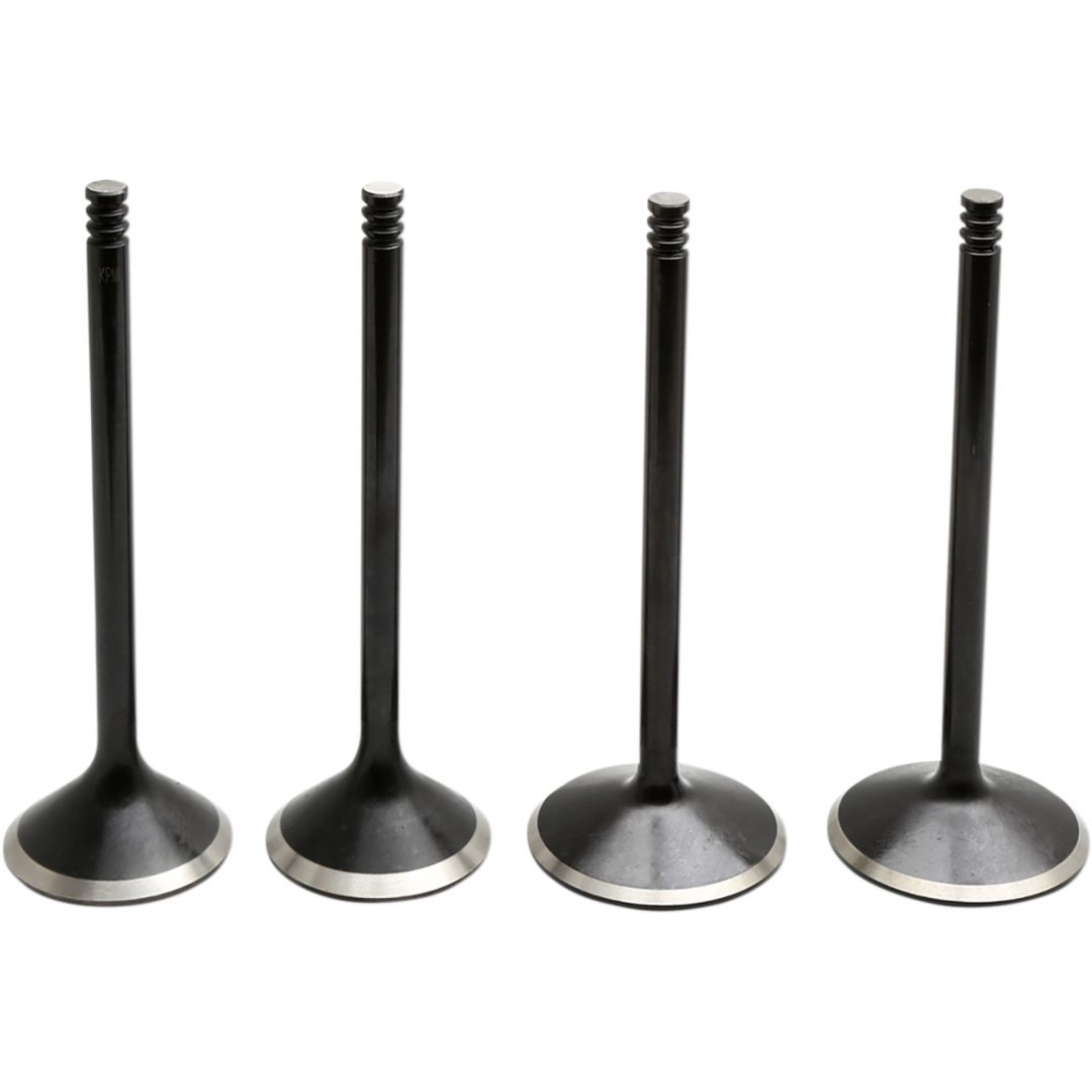 Ventilkitt Black Diamond Stainless Steel KIBBLEWHITE