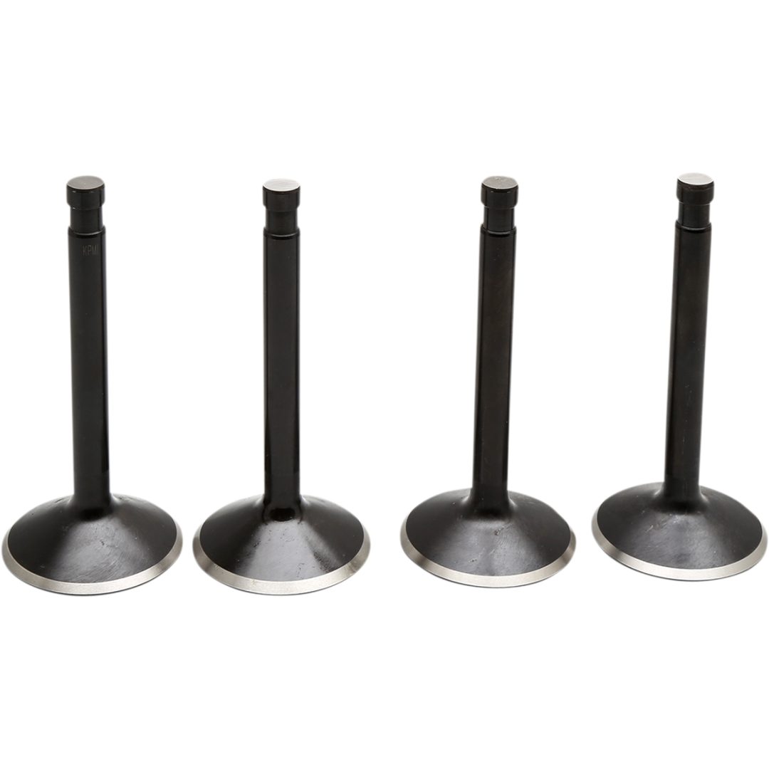 Ventilkitt Black Diamond Stainless Steel KIBBLEWHITE