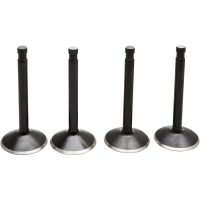 Ventilkitt Black Diamond Stainless Steel KIBBLEWHITE