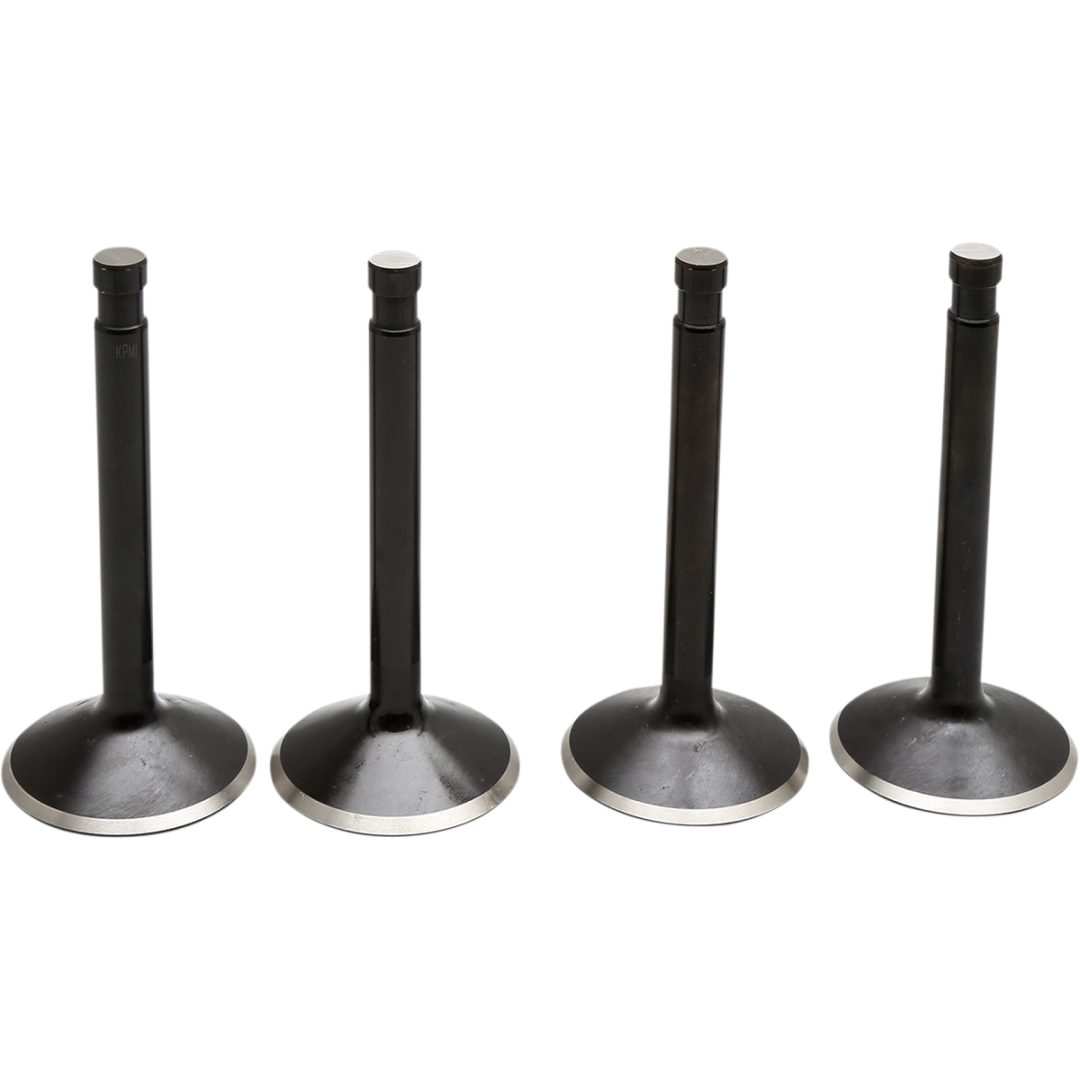 Ventilkitt Black Diamond Stainless Steel KIBBLEWHITE