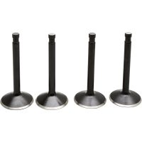 Ventilkitt Black Diamond Stainless Steel KIBBLEWHITE