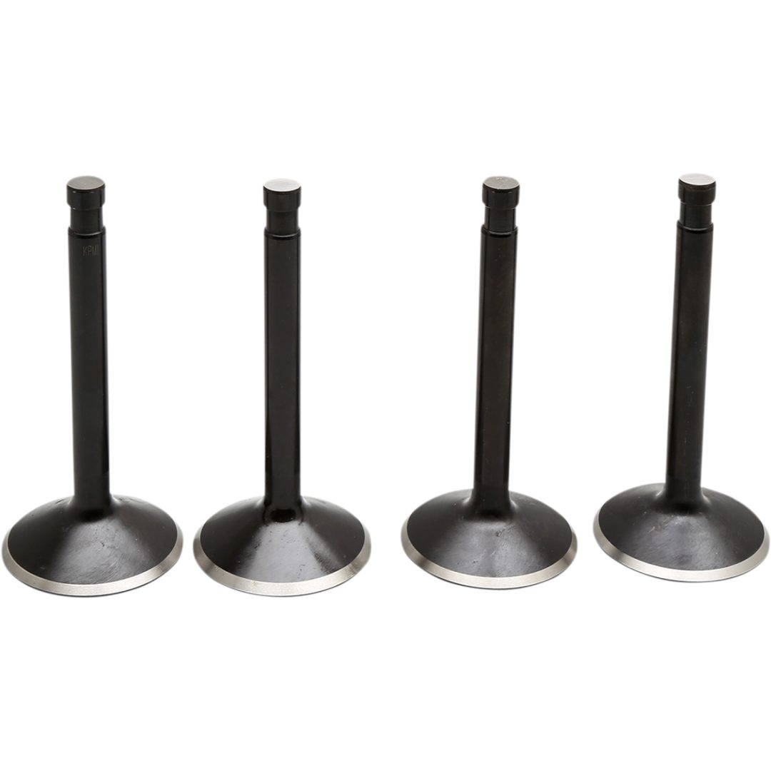 Ventilkitt Black Diamond Stainless Steel KIBBLEWHITE