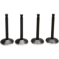 Ventilkitt Black Diamond Stainless Steel KIBBLEWHITE