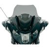 Vindruta Standard Rökfärgad WRS – miniatyr 2