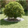 Vita Planter Vit Plast Hopfällbar Golvplanter Rund vidaXL Large – miniatyr 3