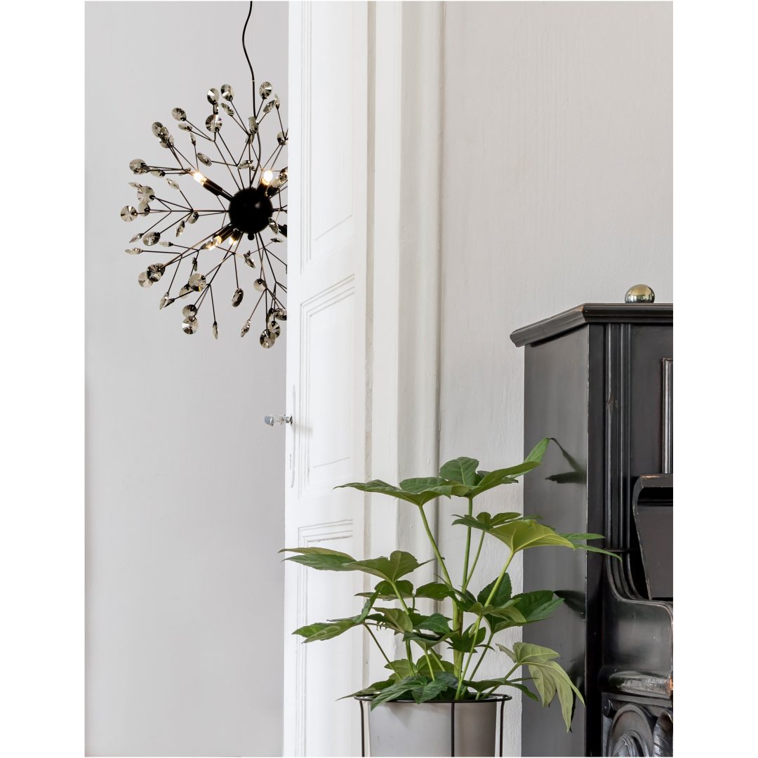 Viva Taklampa, ANETA HOME Sockel G9 Svart /Klar – bild 3