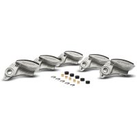 WGT Kit for Maxi Delta Clutch Adjustable Automatic Clutch MALOSSI