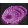 WiFi LED-strip Kit, 5 m, 12V DC MALMBERGS – miniatyr 2
