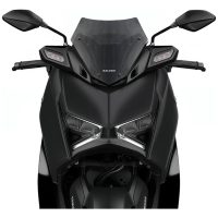 Windscreen Sport MALOSSI